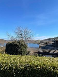 a house with a roof and a lake in the background at Ferienhaus am Listersee in Meinerzhagen