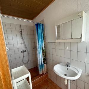 een badkamer met een wastafel en een douche bij Bungalow 1 in Pruchten