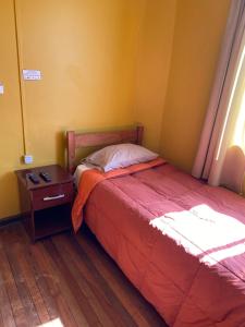 1 dormitorio con 1 cama, mesita de noche y ventana en Hostal Radal Molina, en Molina