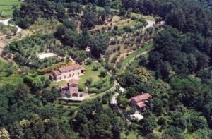 - une vue aérienne sur une grande maison dans la forêt dans l'établissement Ferienhaus für 6 Personen ca 125 qm in Colle di Buggiano, Toskana Provinz Pistoia, à Massa e Cozzile