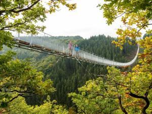 two people standing on a suspension bridge in the mountains at Apartment in M rsdorf with terrace in Mörsdorf