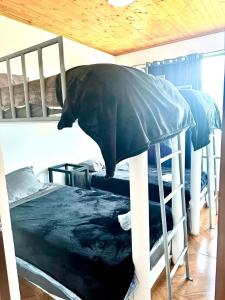 Postel nebo postele na pokoji v ubytování Finca Siberia, Sisga