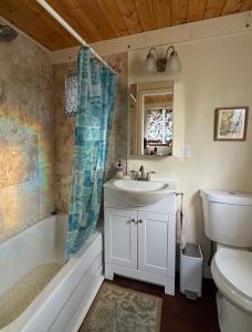 a bathroom with a sink and a tub and a toilet at Tropical Zen Bungalow in Pahoa