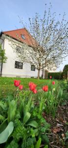 a group of red flowers in front of a house at Allgäu Retreat in Bad Wörishofen