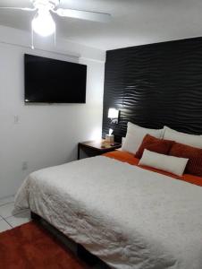 sypialnia z dużym łóżkiem i telewizorem z płaskim ekranem w obiekcie Casa Orquídea w mieście Guadalajara