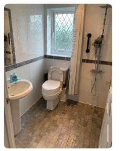 a bathroom with a toilet and a sink and a shower at The Little House, Oswestry in Chirk