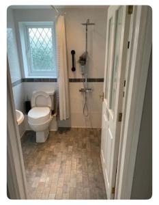 a bathroom with a toilet and a shower and a window at The Little House, Oswestry in Chirk
