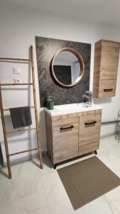 een badkamer met een wastafel en een spiegel bij Les Jardins Ducarouge 3 in Digoin