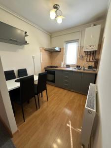 Nordului Apartment 주방 또는 간이 주방