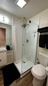 a bathroom with a shower and a toilet at Sand Hollow Zion Mini Home - Pets Welcome 2 with a Fee in Hurricane