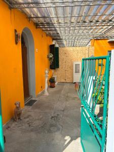 un couloir vide avec des murs orange et un portail vert dans l'établissement Carlitos MAISON, à Pise