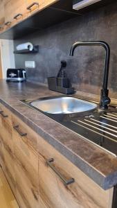 Apartment industrial living في بوتسن: طاولة مطبخ مع حوض في مطبخ