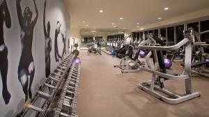 a gym with rows of treadmills and exercise bikes at 2B2B w Water View - FREE Parking - Pool - Lux Spa in Miami