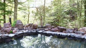 a pool of water with rocks in a forest at Nakanoyu Onsen Ryokan - Vacation STAY 18794v in Matsumoto