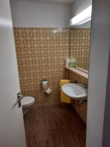 mała łazienka z umywalką i toaletą w obiekcie Große Ferienwohnung in Ludwigsreut mit Eigenem Balkon w mieście Haidmühle