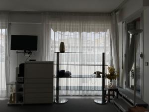 Televízia a/alebo spoločenská miestnosť v ubytovaní Big apartment with terrace & central location