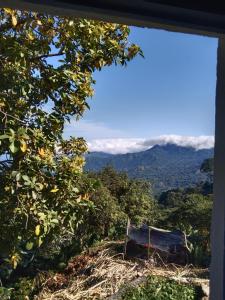 a view of the mountains from a window at Finca hostal La Alicia 1950 in Santa Marta