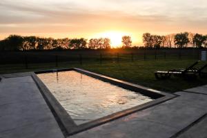 Bazén v ubytovaní ChillHouse by Kis Veréb alebo v jeho blízkosti + 15 fotografií