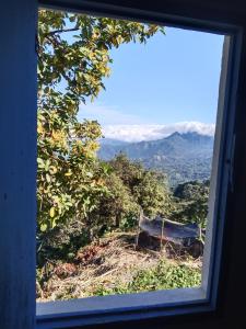 una ventana con vistas a un banco en una colina en Finca hostal La Alicia 1950, en Santa Marta