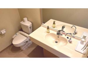 ein Bad mit einem Waschbecken und einem WC in der Unterkunft Hotel Hounomai Otofuke - Vacation STAY 29503v in Otofuke