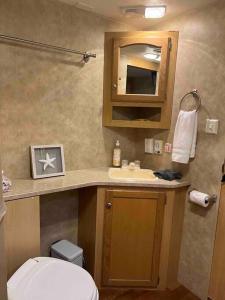 a bathroom with a toilet and a sink and a mirror at WARM AND COZY RV 3 in Miami