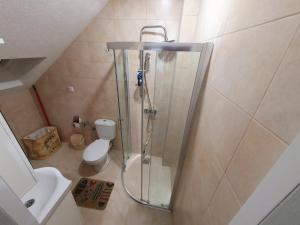 ein Bad mit einer Dusche, einem WC und einem Waschbecken in der Unterkunft Zlatna iskra in Ruđinci