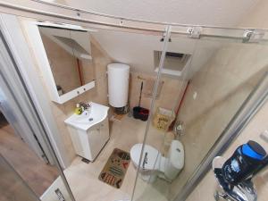 mit Blick auf ein Bad mit WC und Waschbecken in der Unterkunft Zlatna iskra in Ruđinci