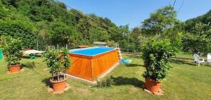uma pequena piscina num quintal com vasos de plantas em Ferienhaus mit Privatpool für 6 Personen ca 155 qm in Pescaglia, Toskana Provinz Lucca em Pescaglia