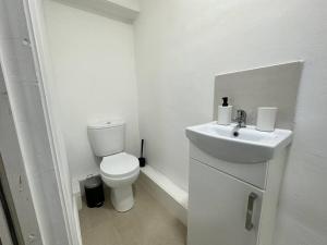 a white bathroom with a toilet and a sink at Cosy Chic Flat in the Heart of Kidderminster in Kidderminster