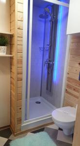 a bathroom with a shower and a toilet at Park Jesionów domki - Pleśna in Pleśna +16 photos