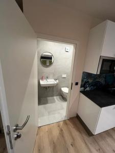 een badkamer met een toilet en een wastafel bij Innenstadtwohnung mit Klima - RMI 1 in Wiener Neustadt