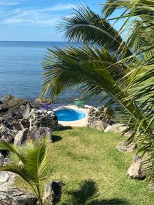 eine Palme und ein Pool am Meer in der Unterkunft Isla Privada San Blas Only Adults in San-Blas-Inseln