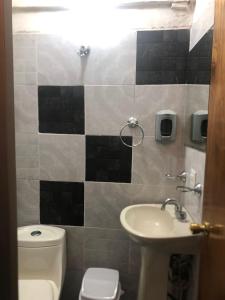 a bathroom with a toilet and a sink at El Hogar de Carmelita in Guanajuato