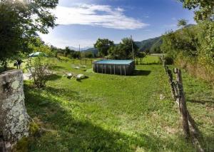 a field with a shed and sheep in the grass at Ferienwohnung für 7 Personen ca 98 qm in Montefegatesi, Toskana Provinz Lucca in Montefegatesi
