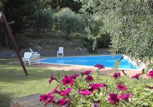basen z różowymi kwiatami na dziedzińcu w obiekcie Ferienhaus mit Privatpool für 5 Personen ca 65 qm in Petrognano, Toskana Provinz Lucca w mieście San Gennaro