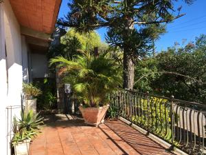 um alpendre com palmeiras e uma cerca em Residência Acolhedora em Porto Alegre