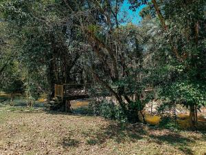 山林小屋周边自然景观