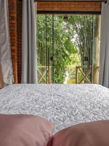Antônio CarlosSuíte com cachoeira no quintal的窗户景客房内的一张床位