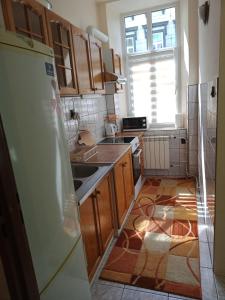 Kuchyň nebo kuchyňský kout v ubytování Apartament koło Dworcu