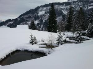 Paesaggio naturale nelle vicinanze dell'appartamento