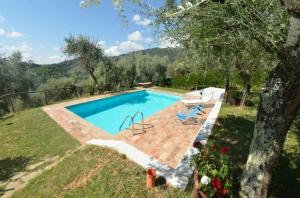 una piscina en un patio con un árbol en Ferienhaus mit Privatpool für 6 Personen ca 100 qm in Torcigliano di Pescaglia, Toskana Provinz Lucca en Pescaglia
