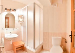 een badkamer met toilet en wastafel bij Penzion Kormoran in Námestovo +75 foto's