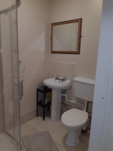 a bathroom with a toilet and a sink and a mirror at Haven Apartment in Cork