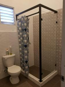 y baño con aseo y cortina de ducha. en Hostel Gato Colonial, en Santo Domingo