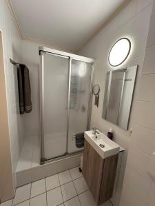 uma casa de banho com um chuveiro e um lavatório. em Günstige Wohnung mit Terrasse im Ferienpark em Falkenstein