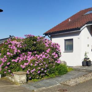 um arbusto de flores cor-de-rosa em frente a uma casa em Ferienwohnung Hochgratblick em Leutkirch im Allgäu