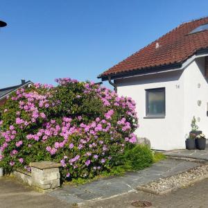 a bush of pink flowers in front of a house at Ferienwohnung Hochgratblick in Leutkirch im Allgäu