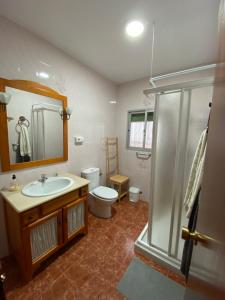 uma casa de banho com um WC, um lavatório e um chuveiro em Casa Virgen de Gracia em Archidona