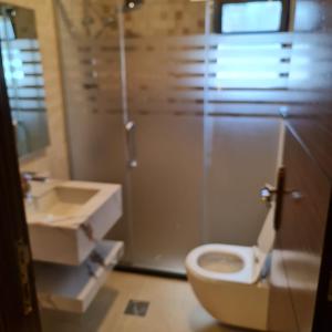 a bathroom with a toilet and a shower and a sink at 24th Apartment in Amman