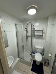 a bathroom with a shower and a toilet and a sink at London gateway get-away in Hounslow